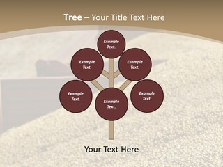 A Large Pile Of Grain Sitting On Top Of A Field PowerPoint Template
