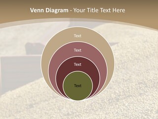 A Large Pile Of Grain Sitting On Top Of A Field PowerPoint Template