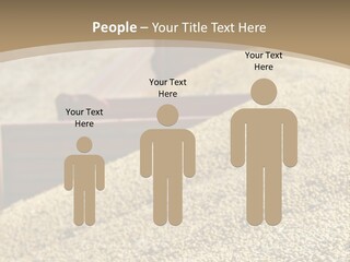 A Large Pile Of Grain Sitting On Top Of A Field PowerPoint Template