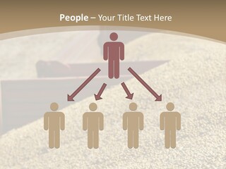 A Large Pile Of Grain Sitting On Top Of A Field PowerPoint Template