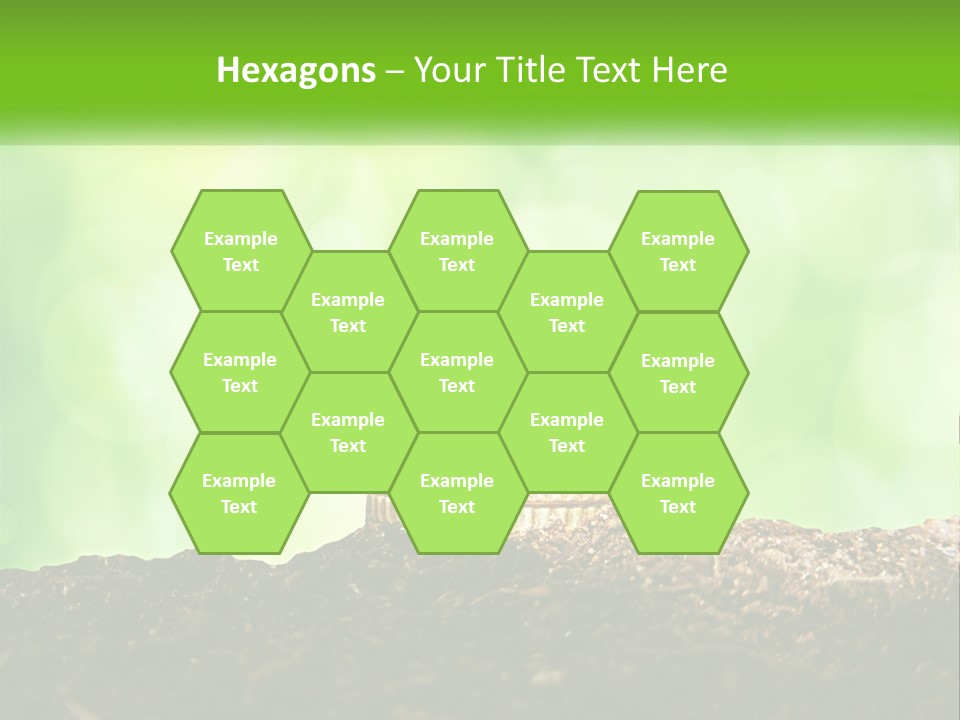 A Pile Of Coins With A Plant Growing Out Of It PowerPoint Template