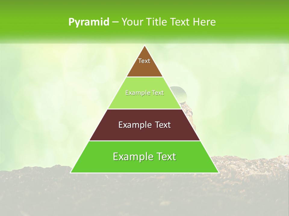 A Pile Of Coins With A Plant Growing Out Of It PowerPoint Template