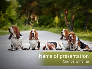 A Group Of Dogs Sitting On The Side Of A Road PowerPoint Template