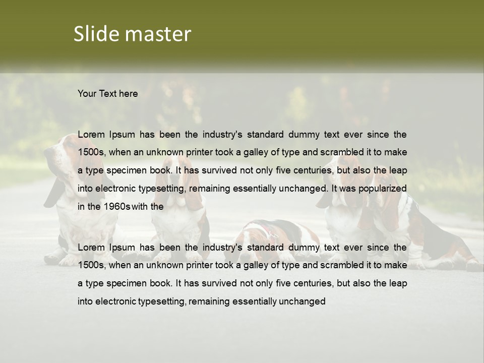 A Group Of Dogs Sitting On The Side Of A Road PowerPoint Template