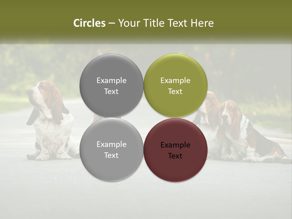 A Group Of Dogs Sitting On The Side Of A Road PowerPoint Template
