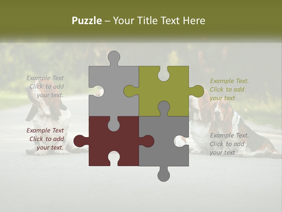 A Group Of Dogs Sitting On The Side Of A Road PowerPoint Template