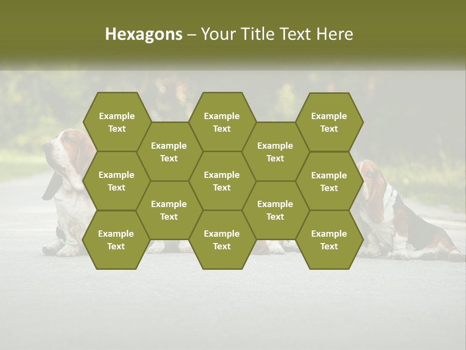 A Group Of Dogs Sitting On The Side Of A Road PowerPoint Template