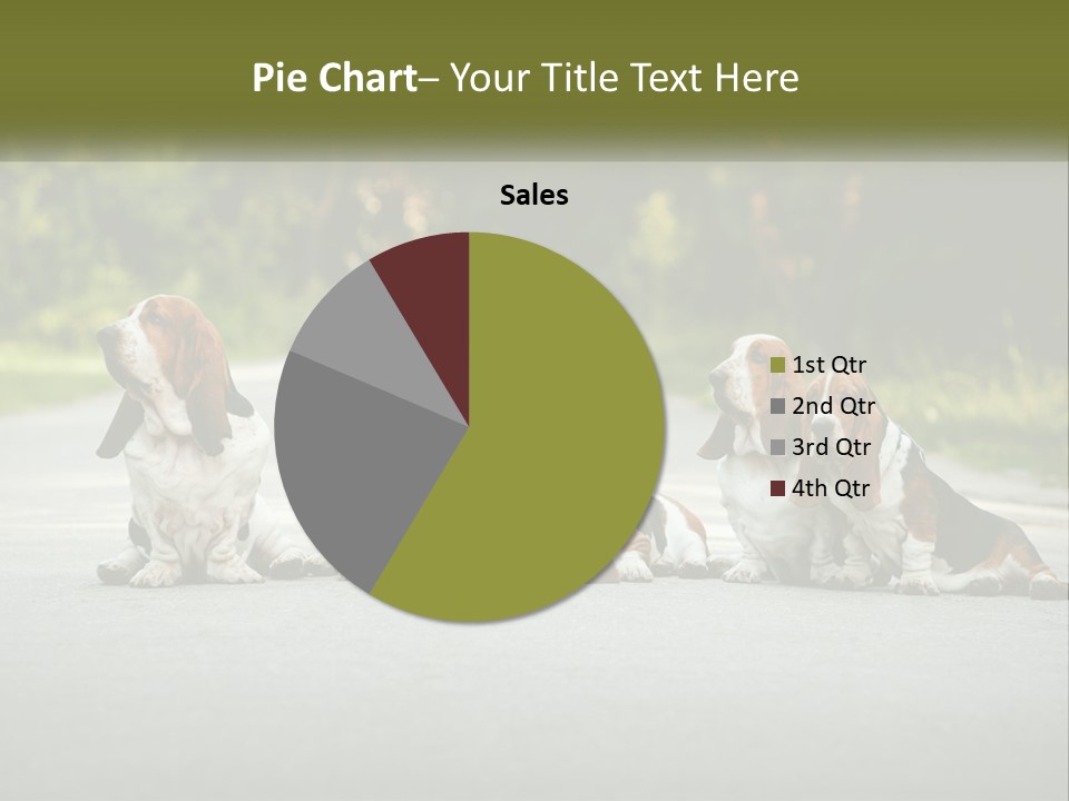 A Group Of Dogs Sitting On The Side Of A Road PowerPoint Template