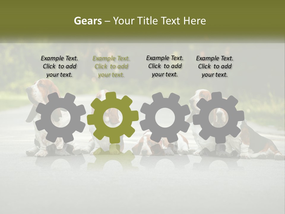 A Group Of Dogs Sitting On The Side Of A Road PowerPoint Template