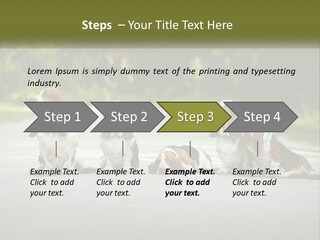 A Group Of Dogs Sitting On The Side Of A Road PowerPoint Template