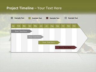 A Group Of Dogs Sitting On The Side Of A Road PowerPoint Template