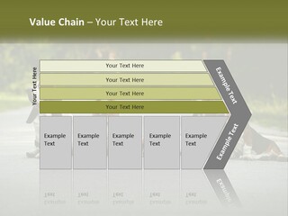 A Group Of Dogs Sitting On The Side Of A Road PowerPoint Template