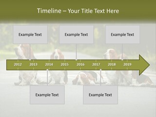 A Group Of Dogs Sitting On The Side Of A Road PowerPoint Template