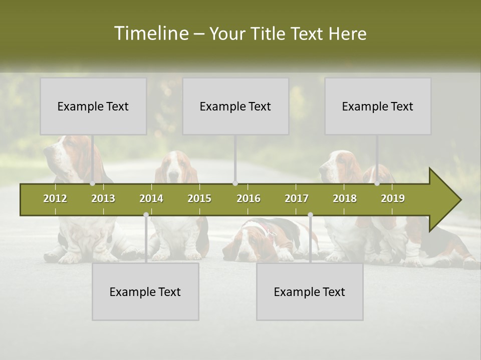 A Group Of Dogs Sitting On The Side Of A Road PowerPoint Template