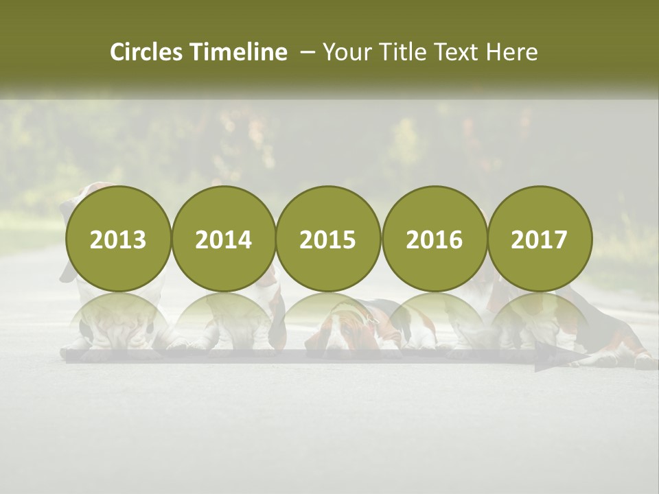 A Group Of Dogs Sitting On The Side Of A Road PowerPoint Template