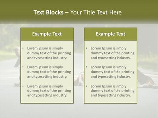 A Group Of Dogs Sitting On The Side Of A Road PowerPoint Template