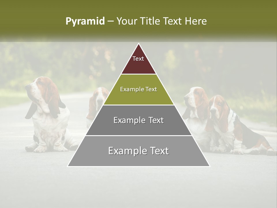 A Group Of Dogs Sitting On The Side Of A Road PowerPoint Template