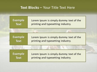 A Group Of Dogs Sitting On The Side Of A Road PowerPoint Template