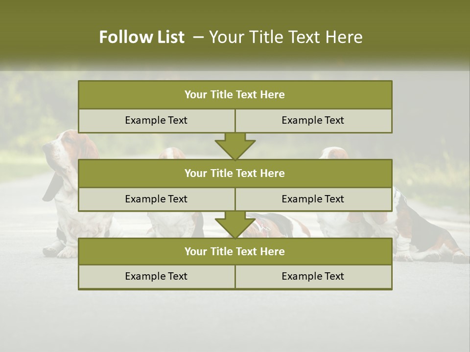 A Group Of Dogs Sitting On The Side Of A Road PowerPoint Template