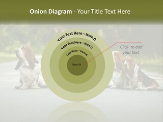 A Group Of Dogs Sitting On The Side Of A Road PowerPoint Template