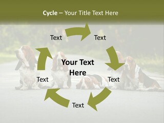 A Group Of Dogs Sitting On The Side Of A Road PowerPoint Template