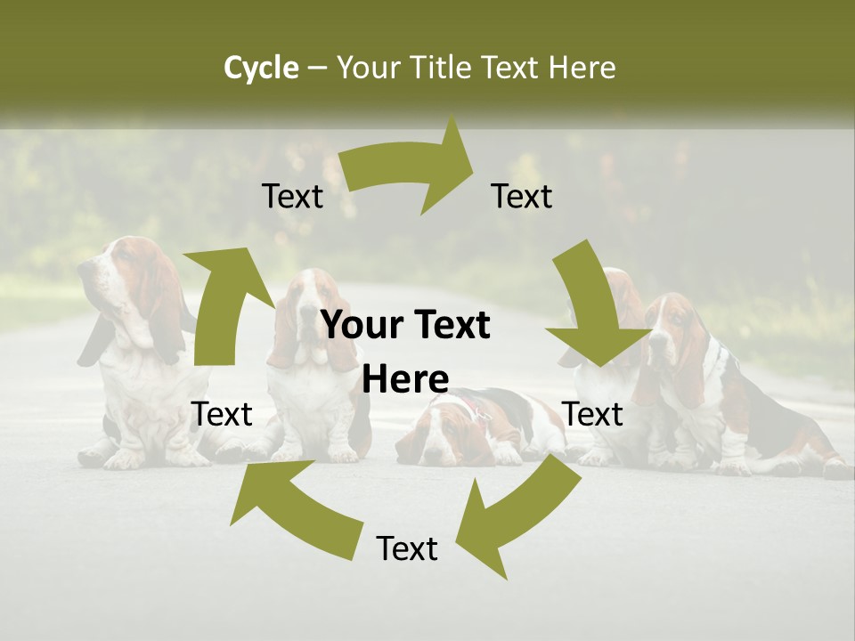 A Group Of Dogs Sitting On The Side Of A Road PowerPoint Template