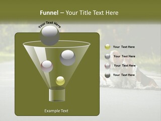 A Group Of Dogs Sitting On The Side Of A Road PowerPoint Template