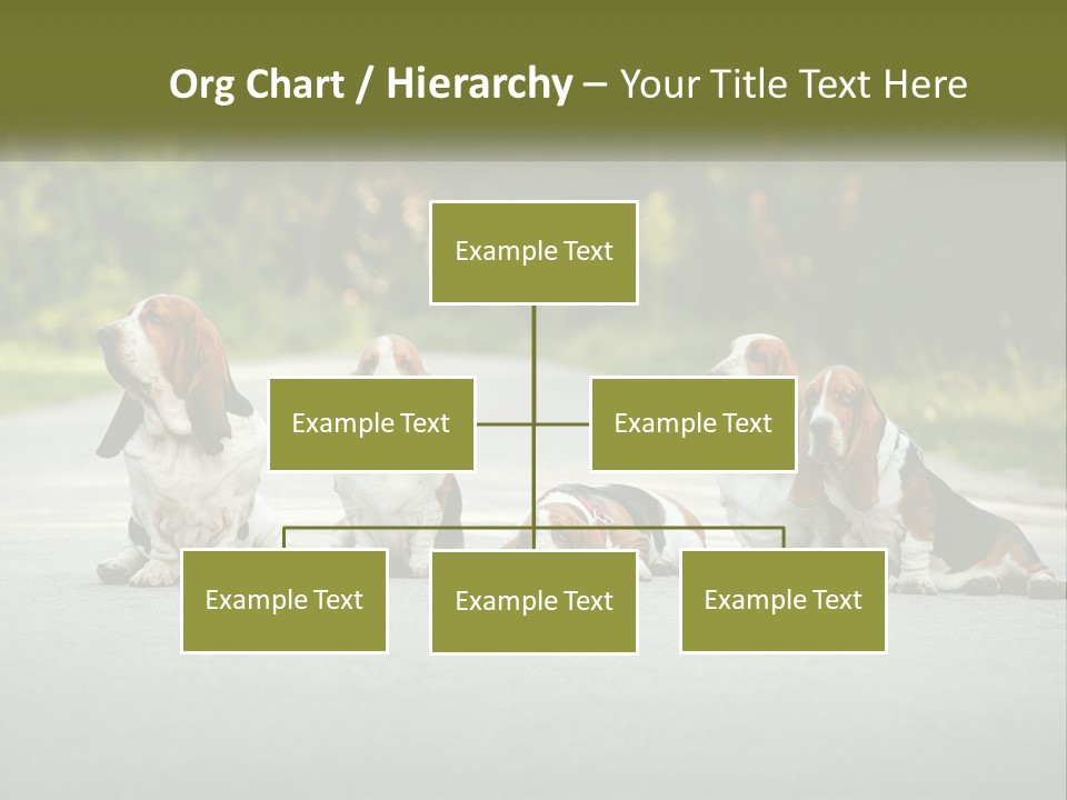 A Group Of Dogs Sitting On The Side Of A Road PowerPoint Template