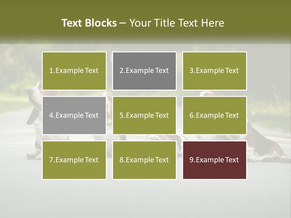 A Group Of Dogs Sitting On The Side Of A Road PowerPoint Template