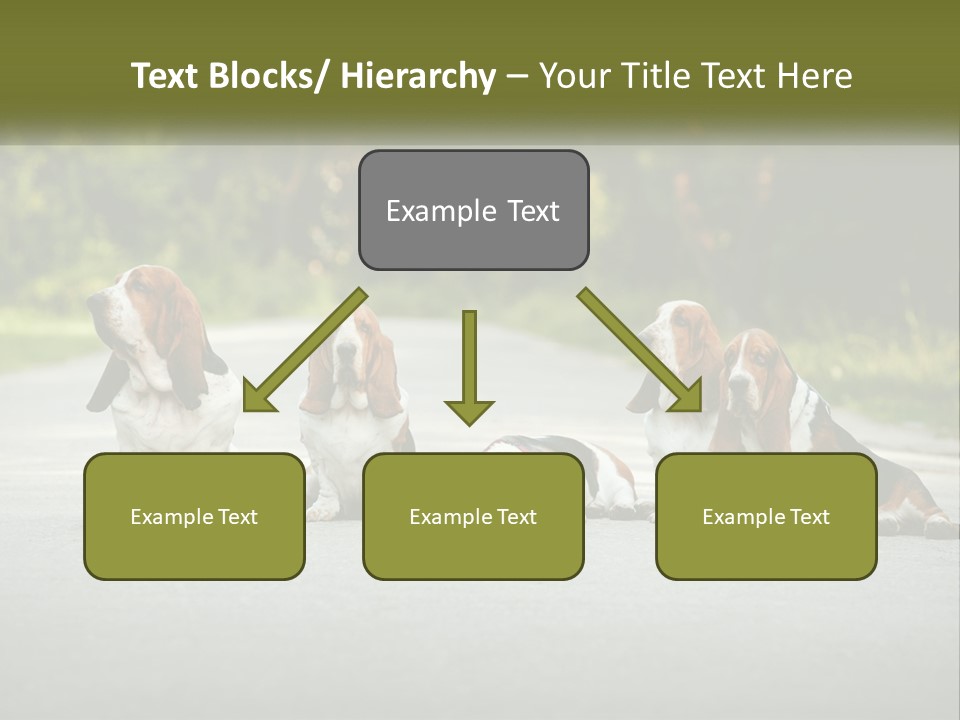 A Group Of Dogs Sitting On The Side Of A Road PowerPoint Template