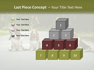 A Group Of Dogs Sitting On The Side Of A Road PowerPoint Template