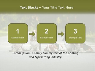 A Group Of Dogs Sitting On The Side Of A Road PowerPoint Template