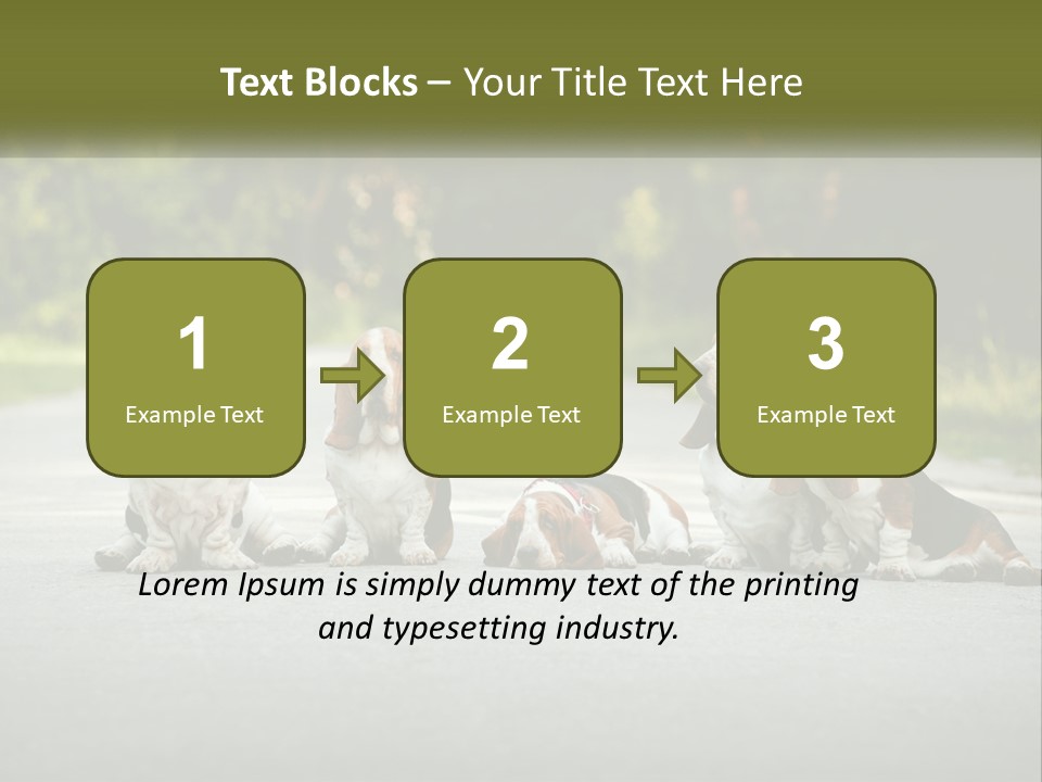 A Group Of Dogs Sitting On The Side Of A Road PowerPoint Template