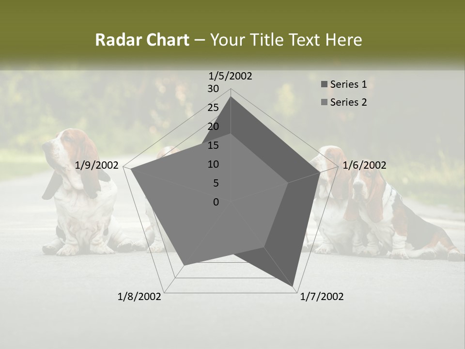 A Group Of Dogs Sitting On The Side Of A Road PowerPoint Template