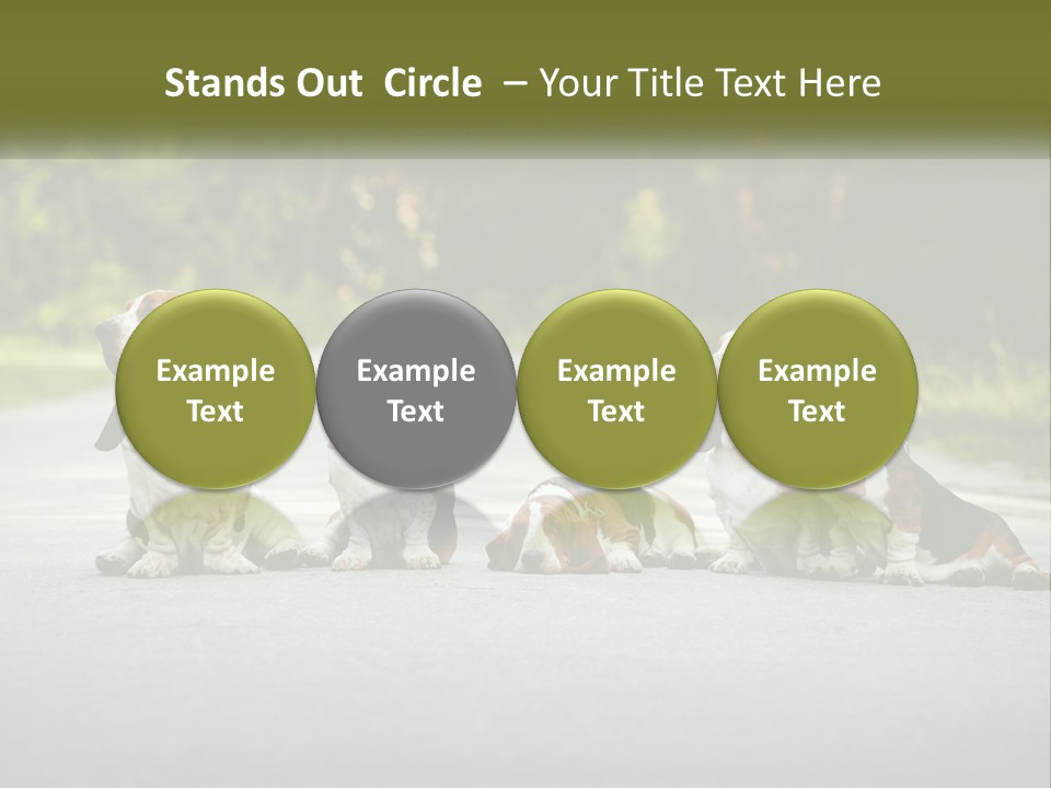 A Group Of Dogs Sitting On The Side Of A Road PowerPoint Template