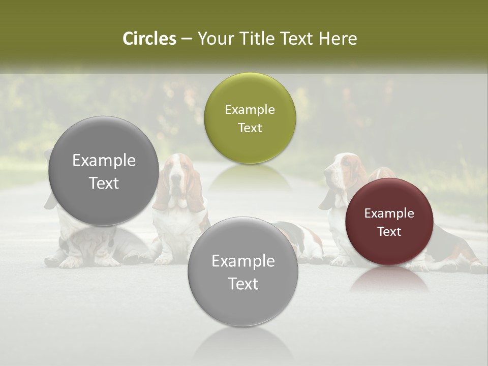 A Group Of Dogs Sitting On The Side Of A Road PowerPoint Template