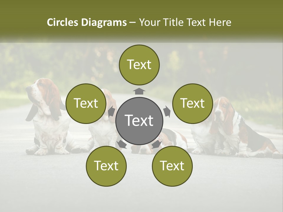A Group Of Dogs Sitting On The Side Of A Road PowerPoint Template