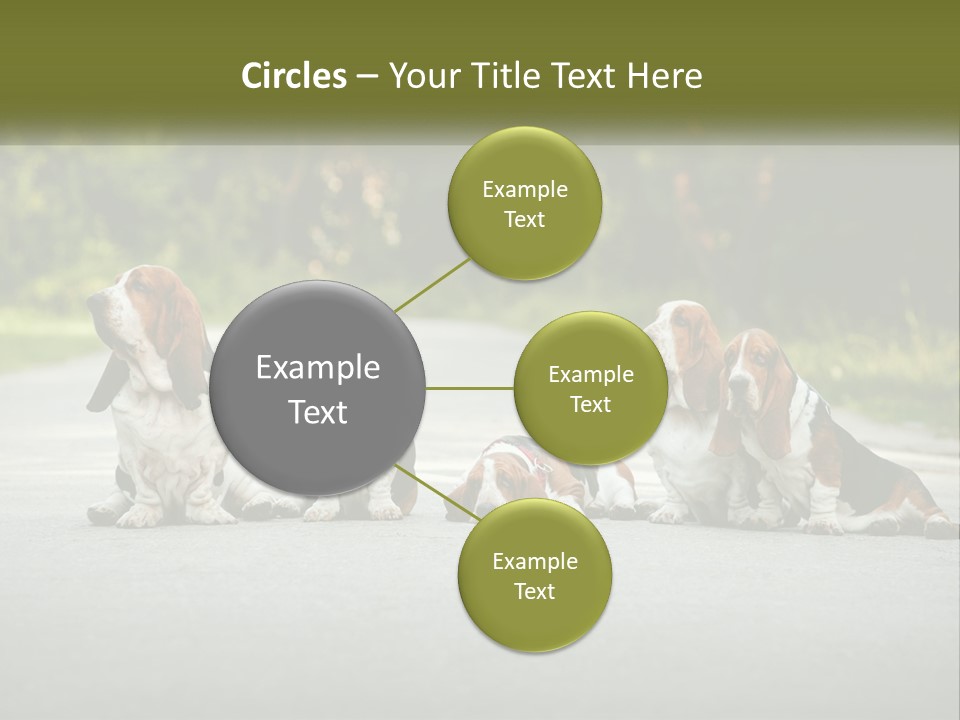 A Group Of Dogs Sitting On The Side Of A Road PowerPoint Template