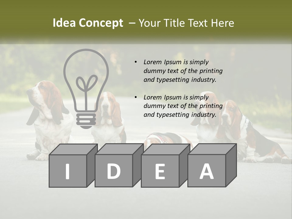 A Group Of Dogs Sitting On The Side Of A Road PowerPoint Template