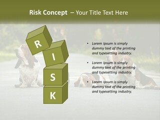 A Group Of Dogs Sitting On The Side Of A Road PowerPoint Template