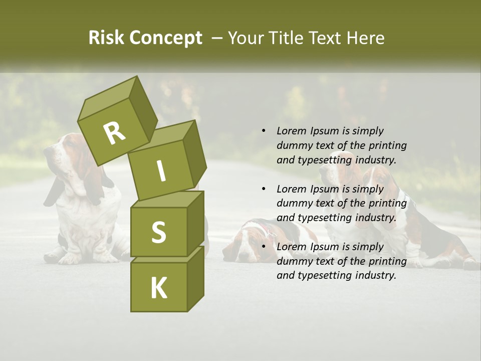 A Group Of Dogs Sitting On The Side Of A Road PowerPoint Template