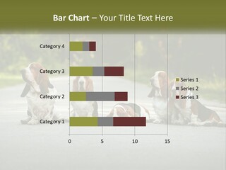 A Group Of Dogs Sitting On The Side Of A Road PowerPoint Template