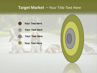 A Group Of Dogs Sitting On The Side Of A Road PowerPoint Template