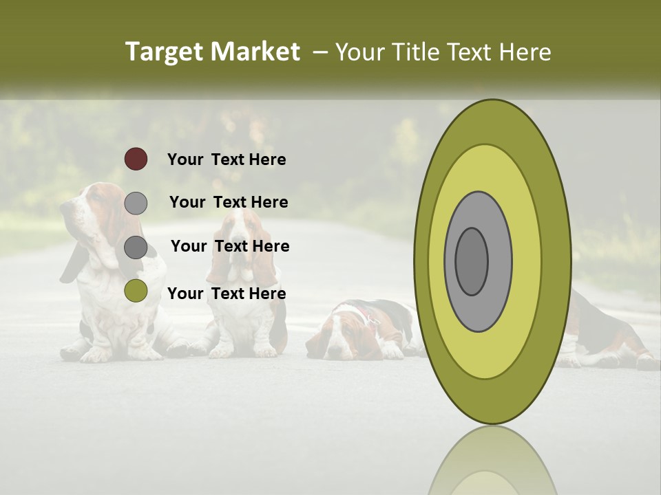 A Group Of Dogs Sitting On The Side Of A Road PowerPoint Template