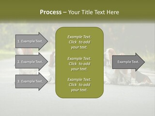 A Group Of Dogs Sitting On The Side Of A Road PowerPoint Template