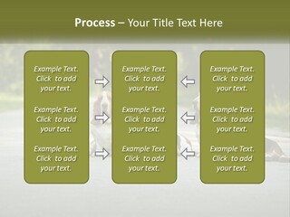 A Group Of Dogs Sitting On The Side Of A Road PowerPoint Template