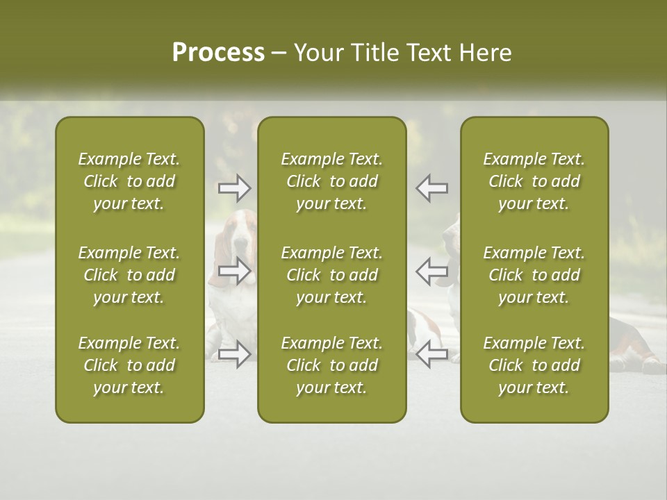 A Group Of Dogs Sitting On The Side Of A Road PowerPoint Template