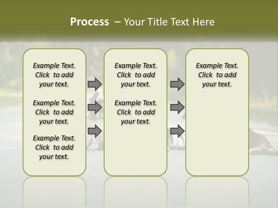 A Group Of Dogs Sitting On The Side Of A Road PowerPoint Template
