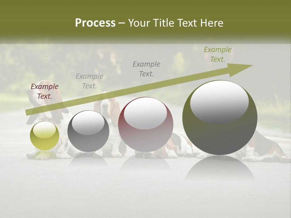 A Group Of Dogs Sitting On The Side Of A Road PowerPoint Template