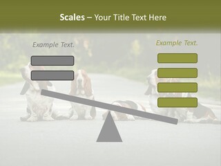 A Group Of Dogs Sitting On The Side Of A Road PowerPoint Template